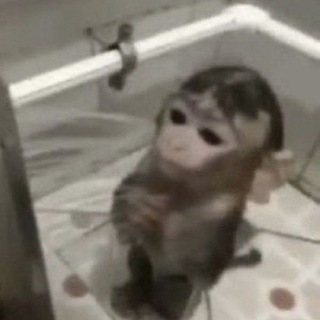 @Danon122