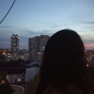 @daria6831