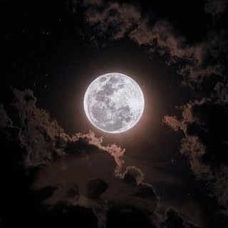 @Darkness_paw
