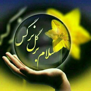 دارالقرآن گل نرگس (عجل الله)