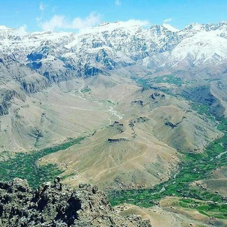 🌳دايكندى🌳وانرژى مثبت 🍁🌲🌵