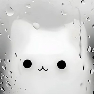 @Dazai2_2_8
