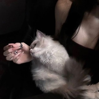 @dddrrss