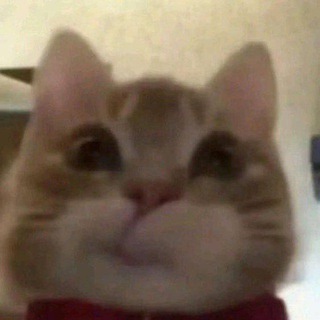 @Deadpurecrock