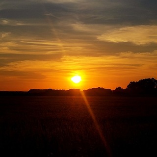 @deadsilence_1