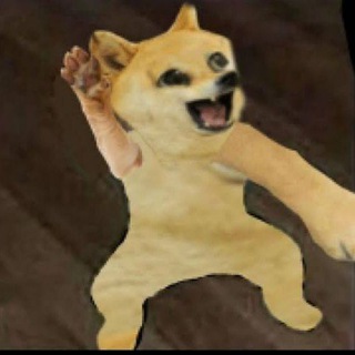 @demidoge