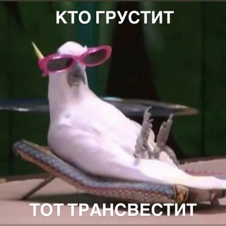 @derkun_mem