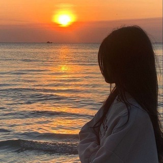 @detpollll