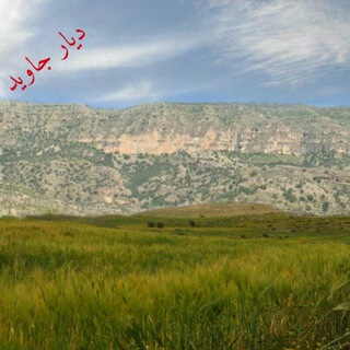 پایگاه خبری دیار مورکی جاوید