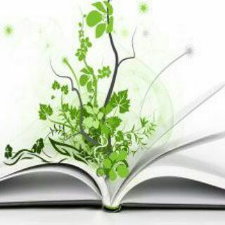 دیباچه دانش