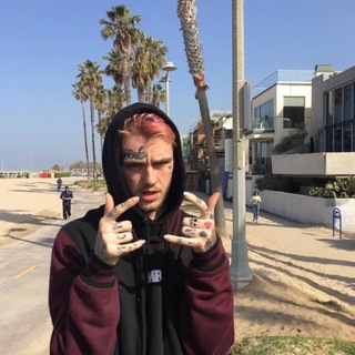 @dibobobobo