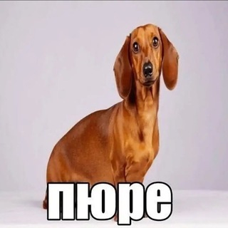 @diesellol