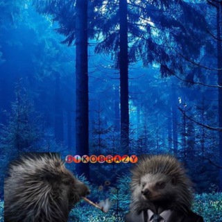 Ⓓⓘⓚⓞⓑⓡⓐⓩⓨ