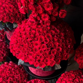 @Dimond_di12