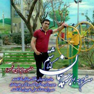 °{دفتر شهسوار}°