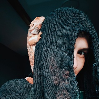@dodosova