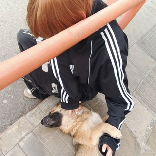 @dog1generation