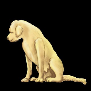@dogdoslinks00