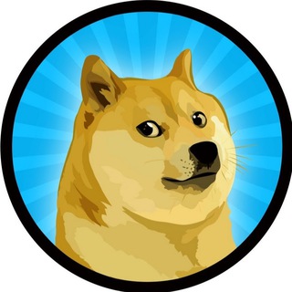 Telegram contact with @doge_channel CryptoDoge🐕 : криптовалюты ...