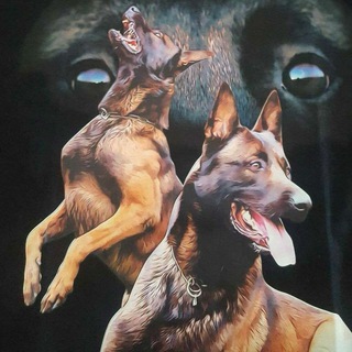 Sb&#39;s.kennel