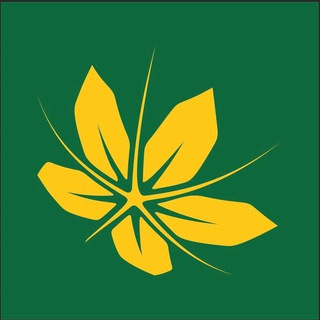 مجموعه درمانی دکتر صرافان