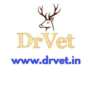 @drvet29