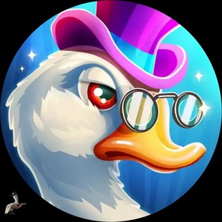 @duckawik