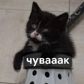 @Dydy_egor