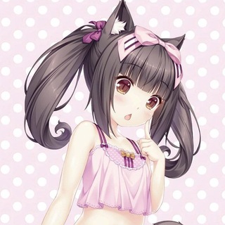 @Dying_Kitty