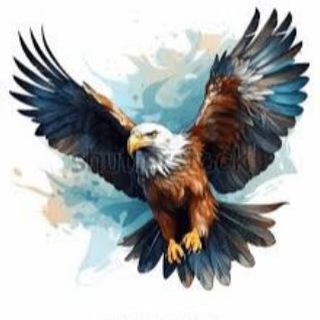 @EAGLEINU