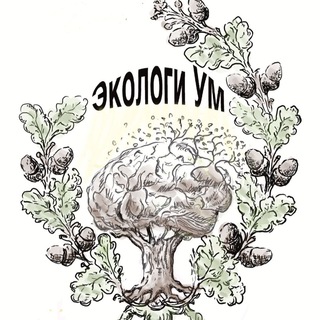 @ec0logyum