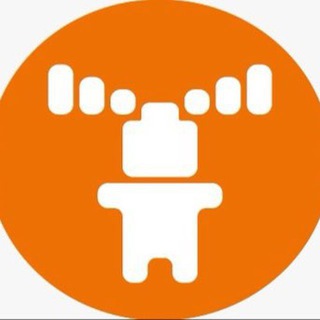 Радио &laquo;ЭХО лОСЕЙ&raquo