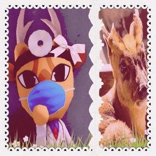 @Edward_lolXD