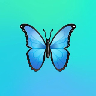 لاغری با ای اف تی