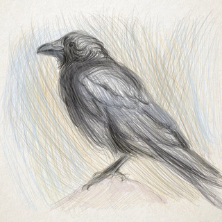 هر روز یه نقاشی با احسان