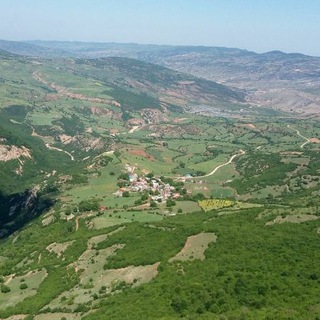کانال رسمی الارز