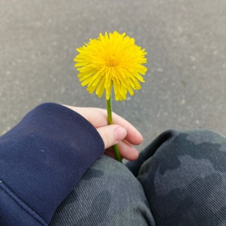 @Elisa8l8