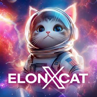 @elonxcat_portal
