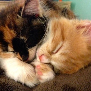 @EmpireCaresAboutYou