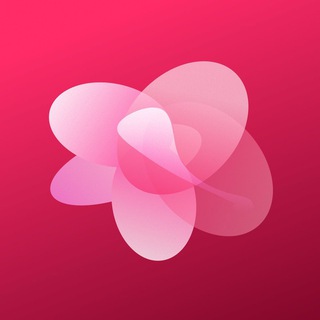 @enterlancevpn_bot