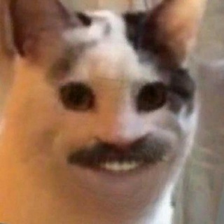 @EricKotatoLinks