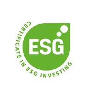 ESG Certificate chat