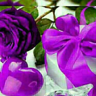 @eshgh_ch