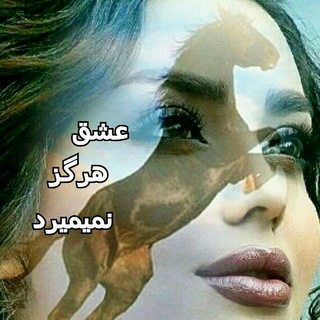 عشق هرگز نمیمیرد