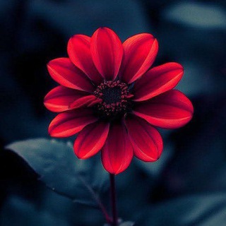 ❤•.¸خسته از گناه ¸.•❤