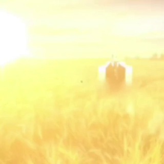 @ethan_ohh