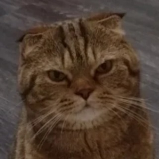 @evtny