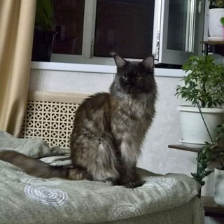 @Ew1ru
