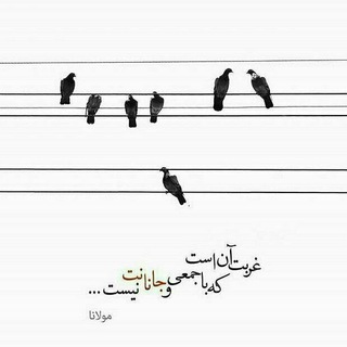 ▂▃▅░ݒرندـہ ۼريبـــ ░▅▃▂