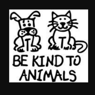 Exposing Animal Sadists